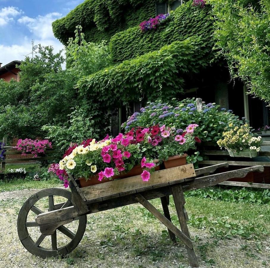 Bed and Breakfast Agriturismo Cascina Selva Ozzero Exterior foto